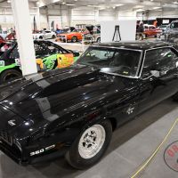 DSC_0213.JPG