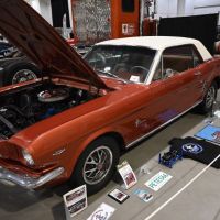 DSC_7944.jpg